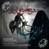 کاور آهنگ نوالی زینب