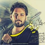 کاور آهنگ دیوونگی