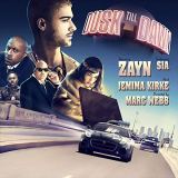 کاور آهنگ Dusk Till Dawn