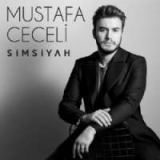 کاور آهنگ ورولموشسون
