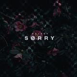 کاور آهنگ Sorry