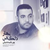 کاور آهنگ بهار دلکش