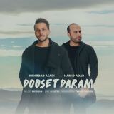 کاور آهنگ دوست دارم