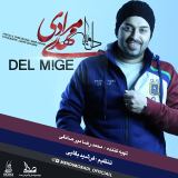 کاور آهنگ مریم میگه