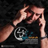 کاور آهنگ دلم خواست