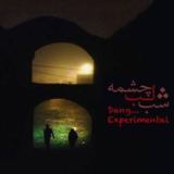 کاور آهنگ شب لب چشمه
