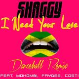 کاور آهنگ I Need Your Love