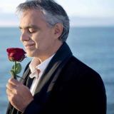 کاور آهنگ La Vie en Rose