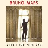 کاور آهنگ When I Was Your Man