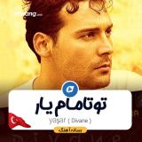 کاور آهنگ دیوانه