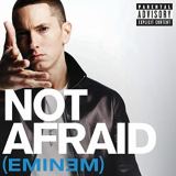 کاور آهنگ Not Afraid