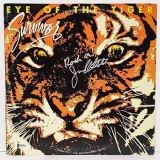 کاور آهنگ Eye Of The Tiger