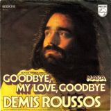 کاور آهنگ Goodbye My Love Goodbye
