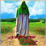 کاور آهنگ سلام فرمانده