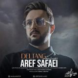 کاور آهنگ دلتنگ
