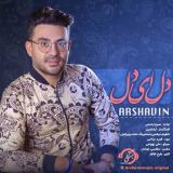 کاور آهنگ دل ای دل