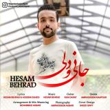 کاور آهنگ جانی و دلی