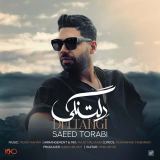 کاور آهنگ دلتنگی