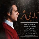 کاور آهنگ ناله‌ بی اثر