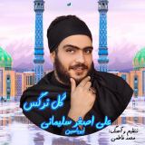 کاور آهنگ گل نرگس