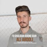 کاور آهنگ تو قلبم خونه داری