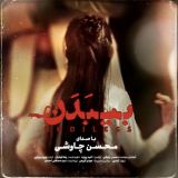 کاور آهنگ بی بدن