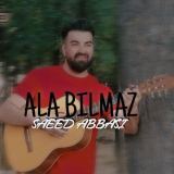کاور آهنگ آلا بیلمز