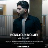 کاور آهنگ دسته گل