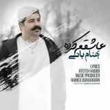 کاور آهنگ عاشقم کرده