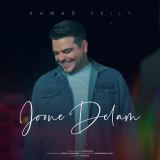 کاور آهنگ جون دلم