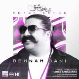 کاور آهنگ شب عشق