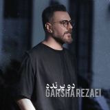 کاور آهنگ دو پرنده