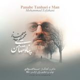 کاور آهنگ پناه تنهایی من