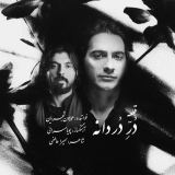 کاور آهنگ در دردانه