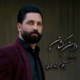 کاور آهنگ دامن کشان