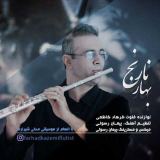 کاور آهنگ بهار نارنج