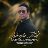 کاور آهنگ عاشق جانی