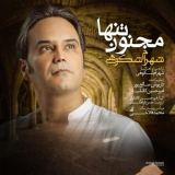 کاور آهنگ مجنون تنها
