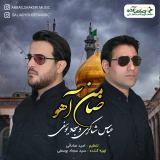 کاور آهنگ ضامن آهو