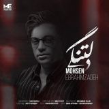 کاور آهنگ دلتنگی