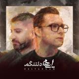 کاور آهنگ دلتنگم
