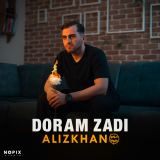 کاور آهنگ دورم زدی