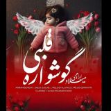 کاور آهنگ گوشواره قلبی