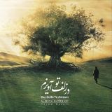 کاور آهنگ در زلف تو آویزم