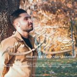 کاور آهنگ وقتی که دلتنگت میشم