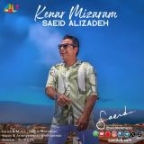 کاور آهنگ کنار میزارم