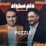 کاور آهنگ دلم میخواد
