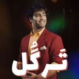 کاور آهنگ ترگل