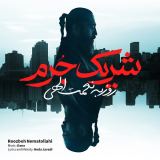 کاور آهنگ شریک جرم