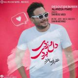 کاور آهنگ دل و زدی بردی